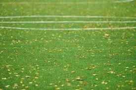 How to Choose the Best Putting Green Turf